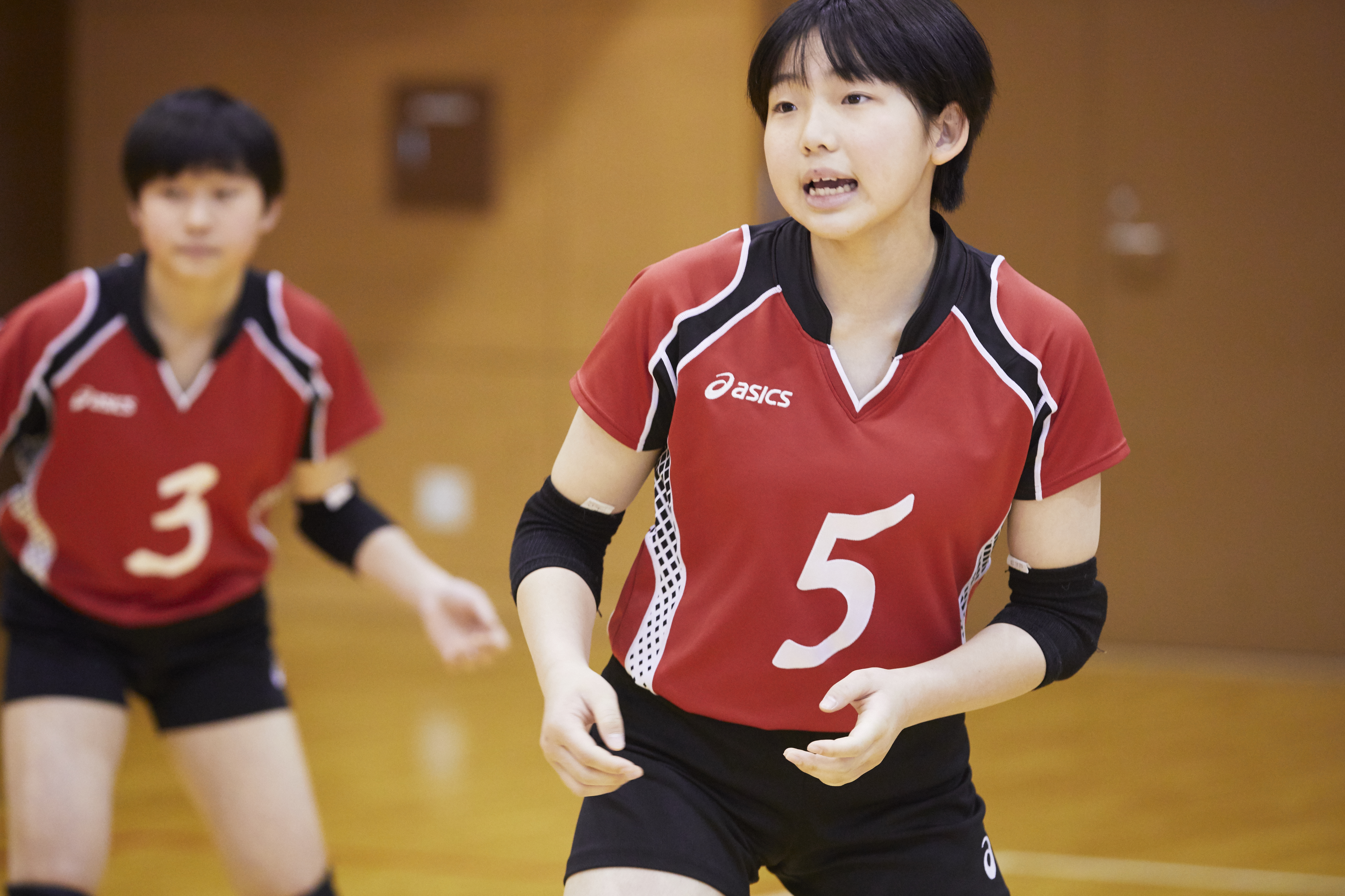 中学 高校 バレー 中学女子バレー部｜獨協埼玉中学高等学校